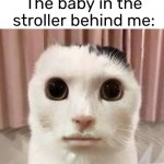 My honest reaction | Me: *shopping at a grocery store; The baby in the stroller behind me: | image tagged in my honest reaction | made w/ Imgflip meme maker