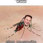 have been wanting to make this meme for a long time, finally got around to doing it today! | TEACHER: "WHAT ARE YOU LAUGHING ABOUT?"
ME: "NOTHING"
MY BRAIN:; elon musquito | image tagged in mosquito,elon musk,memes,funny,bugs,elon | made w/ Imgflip meme maker