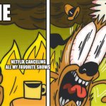 This is not fine | ME; NETFLIX CANCELING ALL MY FAVORITE SHOWS | image tagged in this is not fine | made w/ Imgflip meme maker