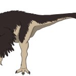 Oviraptor (Male)