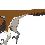 Velociraptor (Male)