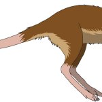 Leptictidium