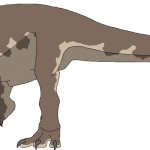 Giganotosaurus (Female)