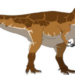 Carcharodontosaurus (Male)