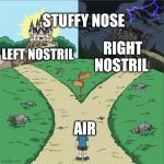 Sofie's choice lite | STUFFY NOSE; RIGHT NOSTRIL; LEFT NOSTRIL; AIR | image tagged in two paths | made w/ Imgflip meme maker