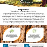 Quality Tree Service Asheville NC