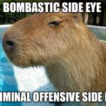 Side eye | BOMBASTIC SIDE EYE; CRIMINAL OFFENSIVE SIDE EYE | image tagged in side eye capybara | made w/ Imgflip meme maker