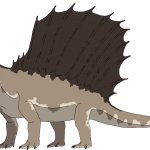 Dimetrodon (Female)