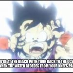 Ah, crapbaskets... | POV: YOU'RE AT THE BEACH WITH YOUR BACK TO THE OCEAN, AND TURN AROUND WHEN THE WATER RECEDES FROM YOUR KNEES PAST YOUR ANKLES | image tagged in kid gohan,day at the beach | made w/ Imgflip meme maker