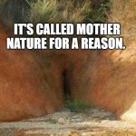 Mother Nature | IT'S CALLED MOTHER NATURE FOR A REASON. | image tagged in mother nature | made w/ Imgflip meme maker