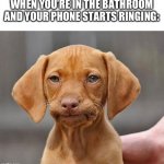 I hate talking while on the toilet | WHEN YOU’RE IN THE BATHROOM AND YOUR PHONE STARTS RINGING: | image tagged in yup,funny,memes,sigh,toilet,phone call | made w/ Imgflip meme maker