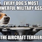 Bark bark. Cleared to launch. | EVERY DOG'S MOST POWERFUL MILITARY ASSET; THE AIRCRAFT TERRIER | image tagged in aircraft carrier,dogs,memes | made w/ Imgflip meme maker