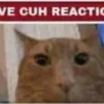 live cuh reaction meme