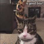 Happy Dog and Annoyed Cat | Who's a good boy? You're a dumb ass | image tagged in happy dog and annoyed cat | made w/ Imgflip meme maker