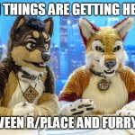 Furry News | HMM THINGS ARE GETTING HEATED; BETWEEN R/PLACE AND FURRY_IRL | image tagged in furry news | made w/ Imgflip meme maker