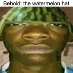 Watermelon hat | Behold: the watermelon hat | image tagged in watermelon hat | made w/ Imgflip meme maker