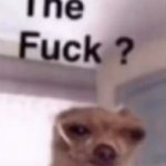 the fuck