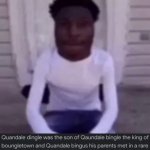 Quandale Dingle | image tagged in quandale dingle | made w/ Imgflip meme maker