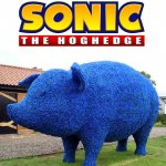 Sonic the hoghedge meme