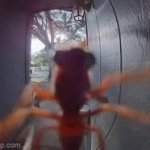 wasp flying away GIF Template