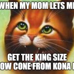 Warrior cats Firestar | WHEN MY MOM LETS ME; GET THE KING SIZE SNOW CONE FROM KONA ICE | image tagged in cats,omg cat | made w/ Imgflip meme maker