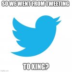 Twitter birds says | SO WE WENT FROM TWEETING; TO XING? | image tagged in twitter birds says | made w/ Imgflip meme maker
