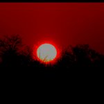 When Day Breaks