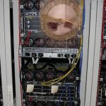Hampster Wheel Servers GIF Template