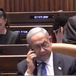 bibi meme