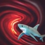 Vortex Shark