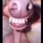 gay dog anal sex