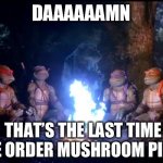 Turtle ‘Shrooms | DAAAAAAMN; THAT’S THE LAST TIME WE ORDER MUSHROOM PIZZA | image tagged in splinter vision,teenage mutant ninja turtles,magic mushrooms,splinter,shrooms,funny memes | made w/ Imgflip meme maker