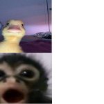 Duck and monkey reaction