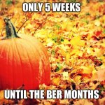 Only 5 weeks until the Ber Months | ONLY 5 WEEKS; UNTIL THE BER MONTHS | image tagged in autumn love | made w/ Imgflip meme maker