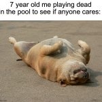 Who else did this? | 7 year old me playing dead in the pool to see if anyone cares: | image tagged in dog playing dead,memes,funny,relatable memes,true story,pool | made w/ Imgflip meme maker