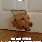 Dog door | SIR, DO YOU HAVE A MINUTE TO TALK ABOUT DOG? | image tagged in dog door,funny dog,god,can we talk,surprise | made w/ Imgflip meme maker
