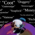 Shinji in a Chair Surrounded by 19th-Century Slang | "Doggery"; "Coot"; "Balderdash"; "Bad egg"; "Opine"; "Chirk"; "Hornswoggle"; "Guttersnipe"; "Mosey"; "Afeared"; "Soaplock"; "Dashing"; "Absquatulate"; "Conniption fit"; "Go the whole hog"; "Vamose"; "Do tell"; "Pitch a fit"; "Tuckered out"; "Mad as a March hare"; "Pony up"; "Cavort"; "Bully for you"; "Boodle" | image tagged in shinji in a chair wide | made w/ Imgflip meme maker