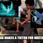 When Phoenix makes a tiktok for Water Phoenix | POV: PHOENIX MAKES A TIKTOK FOR WATER PHOENIX | image tagged in gifs,phoenix,tiktok | made w/ Imgflip video-to-gif maker