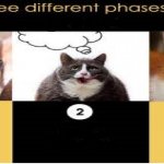 3 different phases template