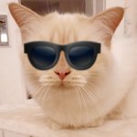 Cat with Sunglasses Emoji template