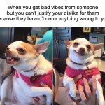 This happens to me a lot | When you get bad vibes from someone but you can’t justify your dislike for them because they haven’t done anything wrong to you: | image tagged in angry dog meme,memes,funny,true story,relatable memes,dogs | made w/ Imgflip meme maker