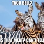 Zinger Zebra | TACO BELL? IS THAT MEAT? CAN'T TELL | image tagged in zinger zebra | made w/ Imgflip meme maker
