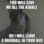 Give me the kibble | YOU WILL GIVE ME ALL THE KIBBLE; OR I WILL LEAVE A HAIRBALL IN YOUR BED | image tagged in friskies the kitty,cats,funny cat memes | made w/ Imgflip meme maker