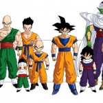 The Z fighters