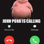 Incoming call | JOHN PORK IS CALLING | image tagged in incoming call | made w/ Imgflip meme maker
