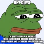 Goodbye | HEY GUYS; I'M QUITTING IMGFLIP BECAUSE THERE IS TOO MUCH RACISM, HOMOPHOBIA, TRANSPHOBIA AND LOTS MORE OFFENSIVE MEMES | image tagged in sad frog | made w/ Imgflip meme maker