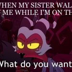 what do you want | ME WHEN MY SISTER WALKS IN TO ANNOY ME WHILE I'M ON THE PHONE: | image tagged in what do you want | made w/ Imgflip meme maker