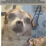"AHHH WHAT WAS THAT?!" | WHEN YOU'RE TRYING TO SLEEP AT HOME BUT YOU HEAR ONE LITTLE NOISE THAT YOU HAVE NEVER HEARD BEFORE: | image tagged in ptsd chihuahua,memes,sleep,noise,relatable | made w/ Imgflip meme maker
