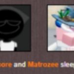 normalcore and matrozee sleep in shifts