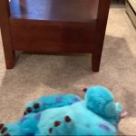 Sully Dead